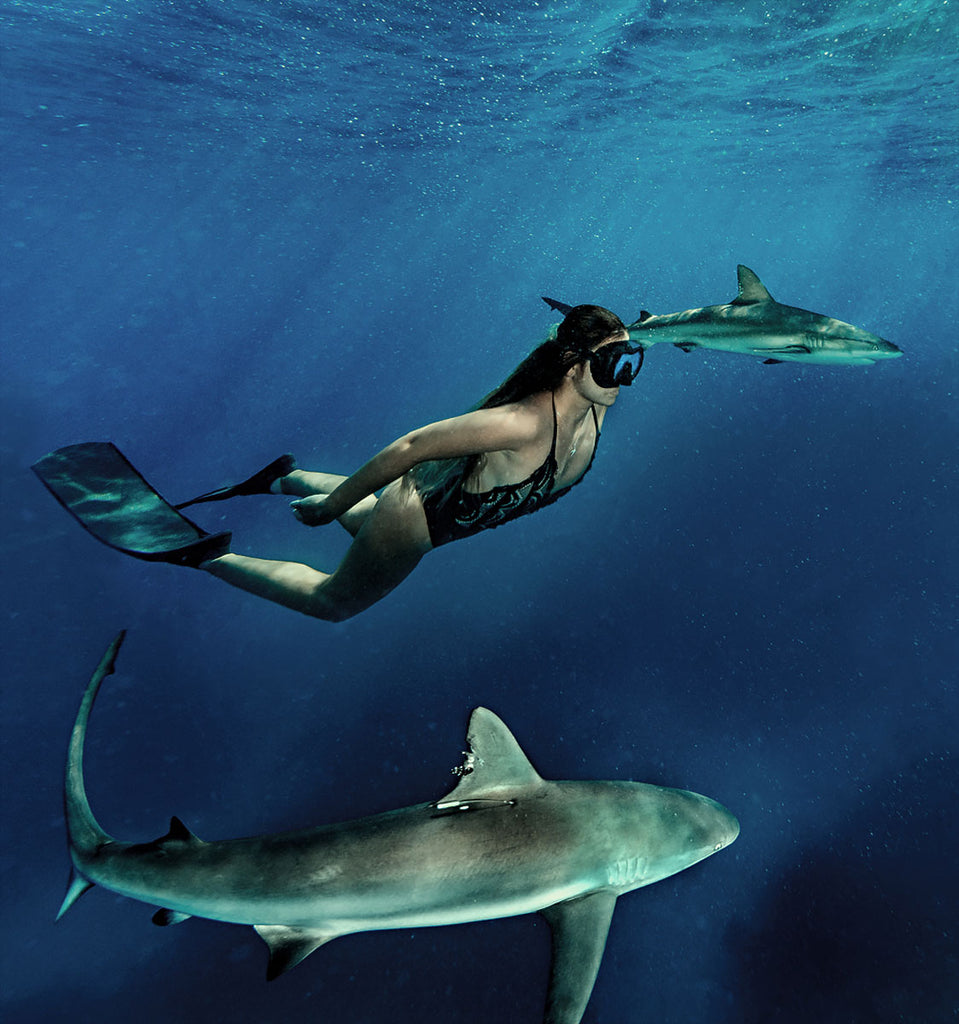 Sharks in the Bahamas by Elena Kalis with Ikelite Housing