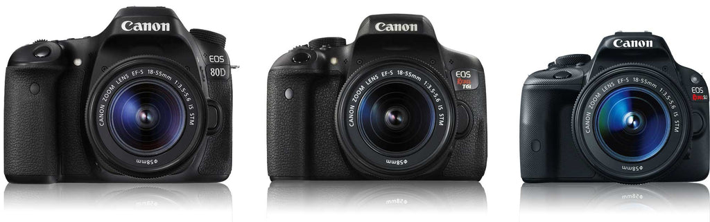 Size comparison of Canon crop sensor DSLR cameras