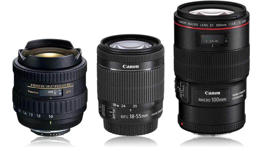 The Most Popular Canon EF-S Lenses Underwater
