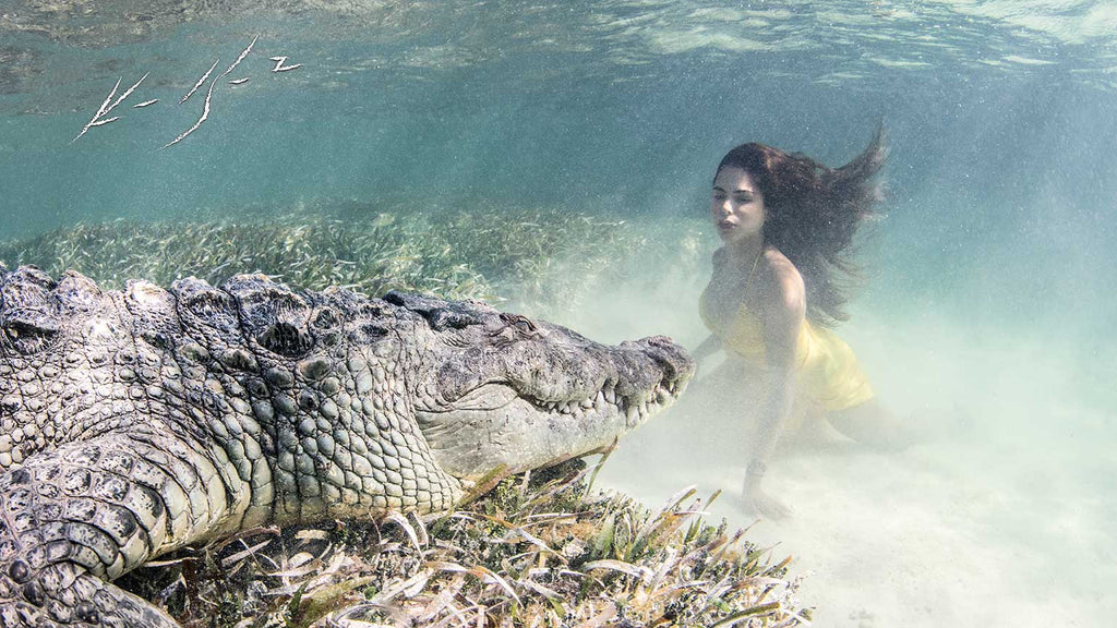 Crocodiles Underwater Photo by Ken Kiefer