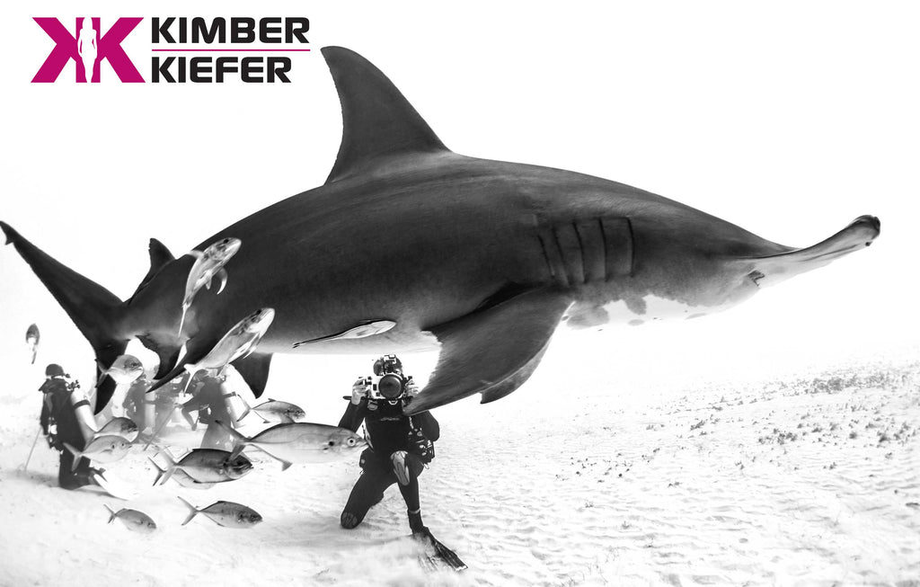 Shark Copyright Kimber Keifer