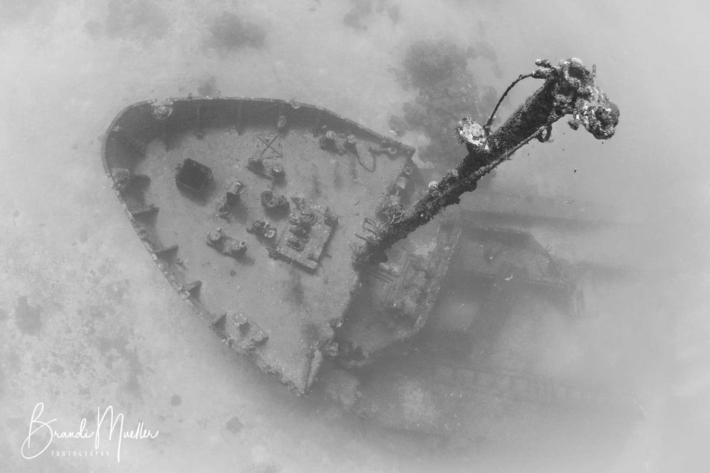 Roatan Underwater by Brandi Mueller