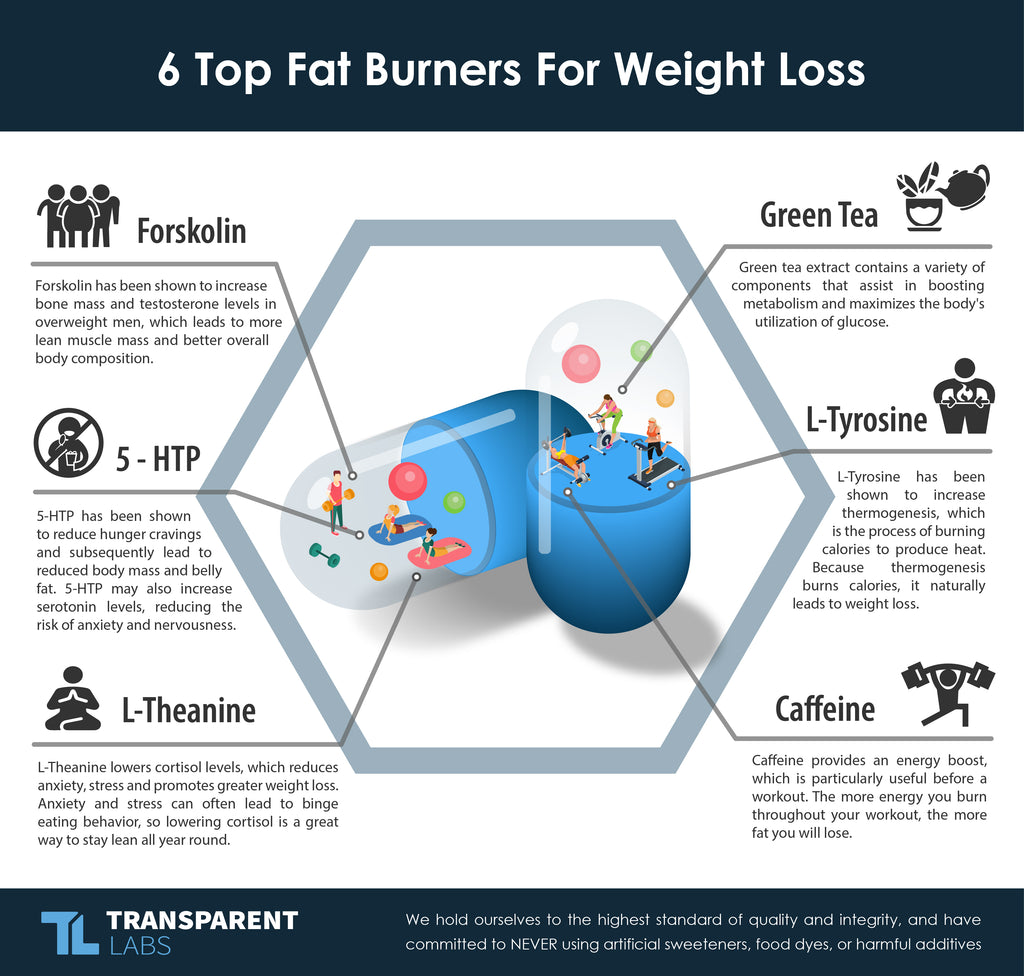 6 top fat burners for weight loss diagram