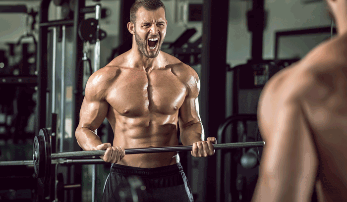 Bodybuilding Workout Chart Pdf In Hindi