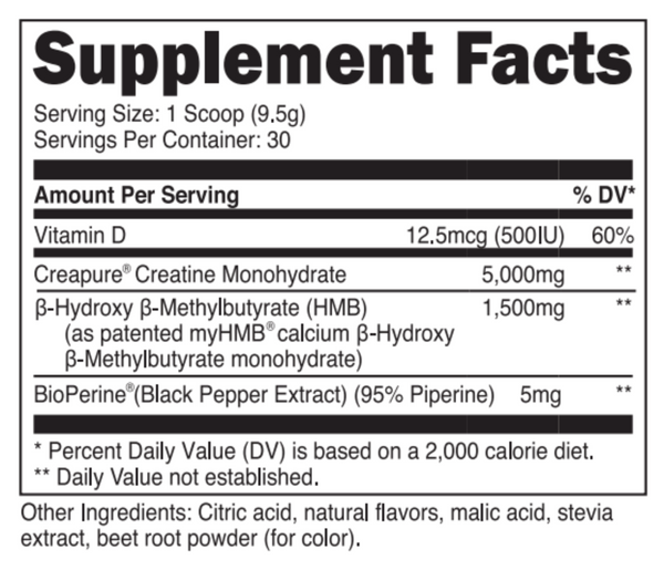 Transparent Labs Creatine Hmb With Creapure Transparent Labs