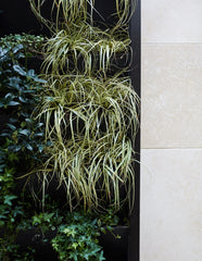 Close up of vertical garden with marble slabs in a variety of shades