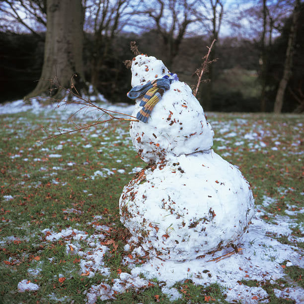 Melting Snowman Picture, Free Photograph