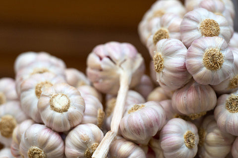 Garlic_Kitchen_Superstitions