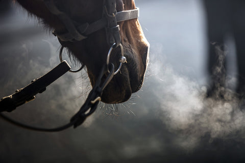 Arlington Park Racetrack Event