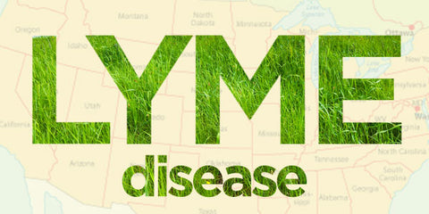 CBD for Lyme disease, Active CBD oil