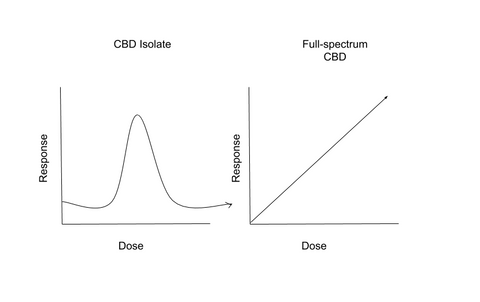 Simplified dose-response curves illustrate the efficacy of CBD preparations at low, medium, and high doses