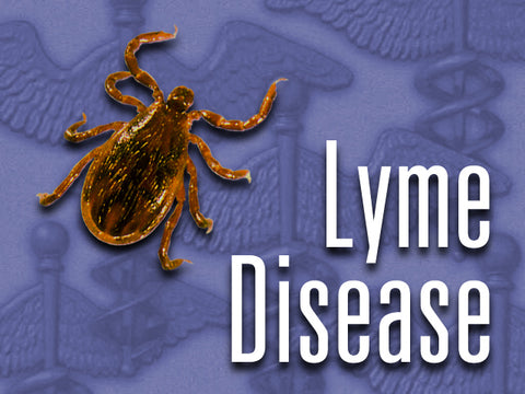 CBD for Lyme disease, Discover CBD, buy CBD oil online