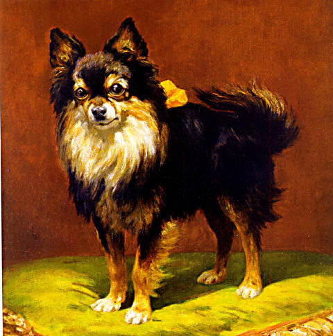 Di Simoni-A Favored Pet