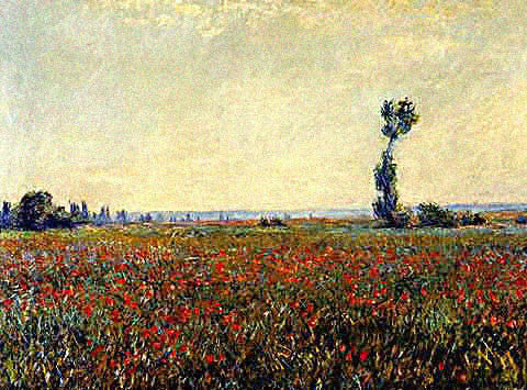 Claude Monet-Field of Poppies II