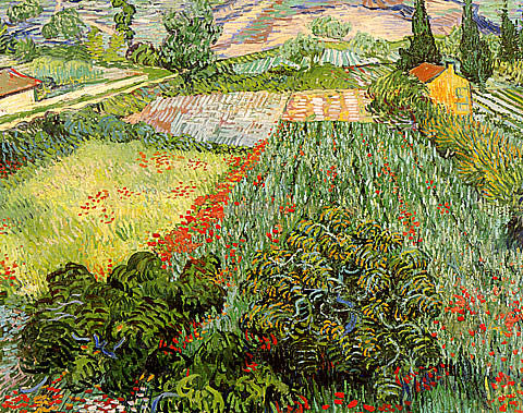 Vincent Van Gogh-Field With Poppies