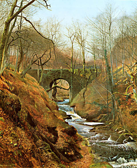 John Atkinson Grimshaw-Ghyll Bock Barden Yorkshire Spring 1867