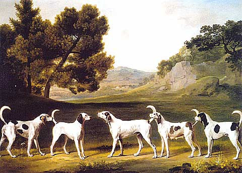 George Stubbs-Staghounds In A Landscape