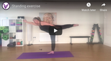 Village Fitness Pilates Classes You Tube