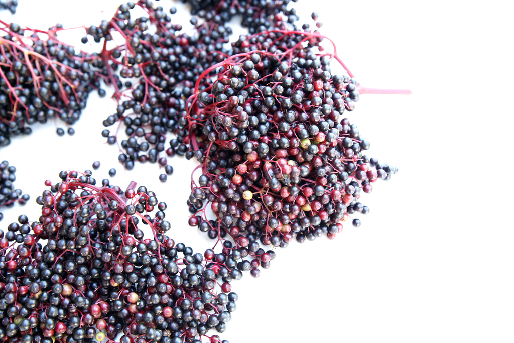 Natural Black Elderberries
