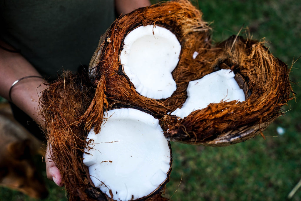 Cracked open coconuts