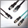 M12 Cables