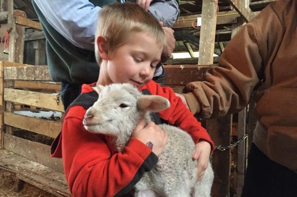 Child holding a baby lamb