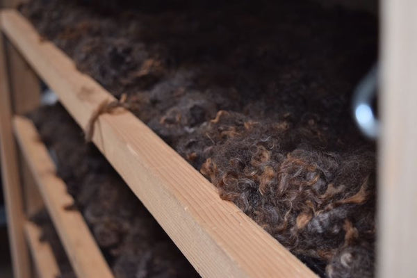 Washed wool on drying racks