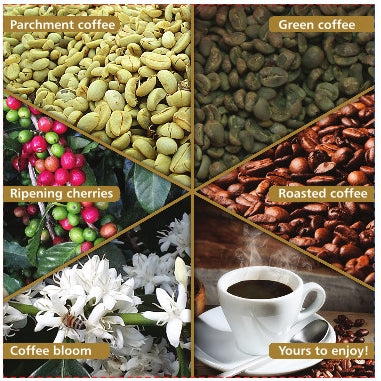 Coffee stages