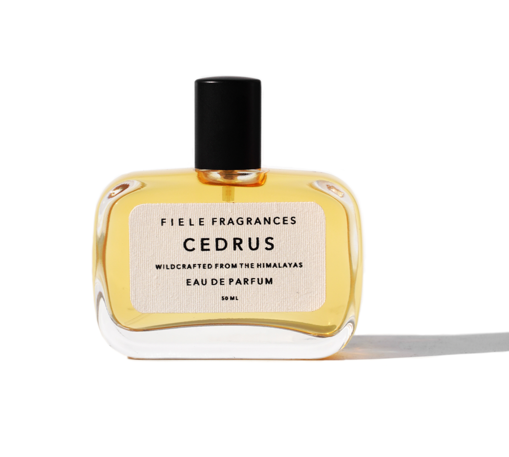 fiele fragrances / cedrus – Len Collective