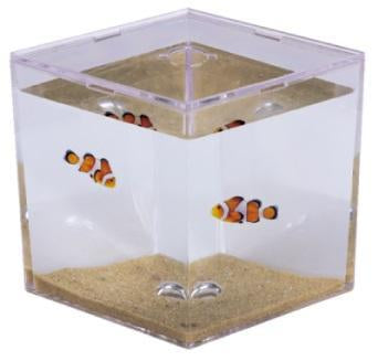 aquarium boyu mini