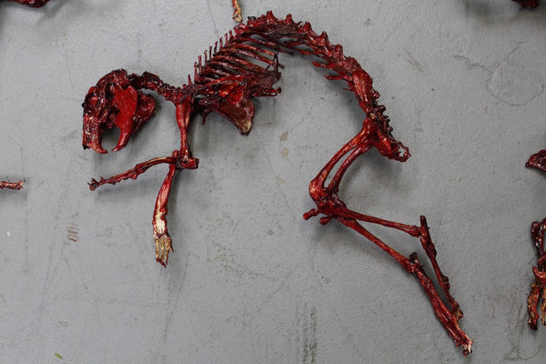 Meaty Rabbit Skeleton Dapper Cadaver Props