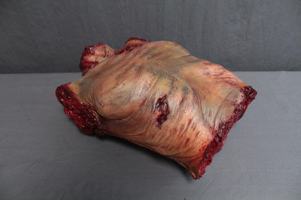 Luttra Cadaver Torso Prop – Dapper Cadaver Props