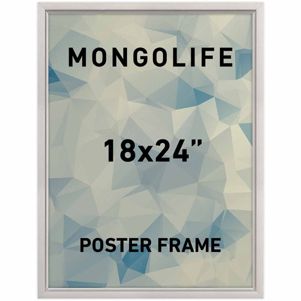 Slide In Frame, 18'' X 24'' Poster Size, 0.93" Silver Color Profile