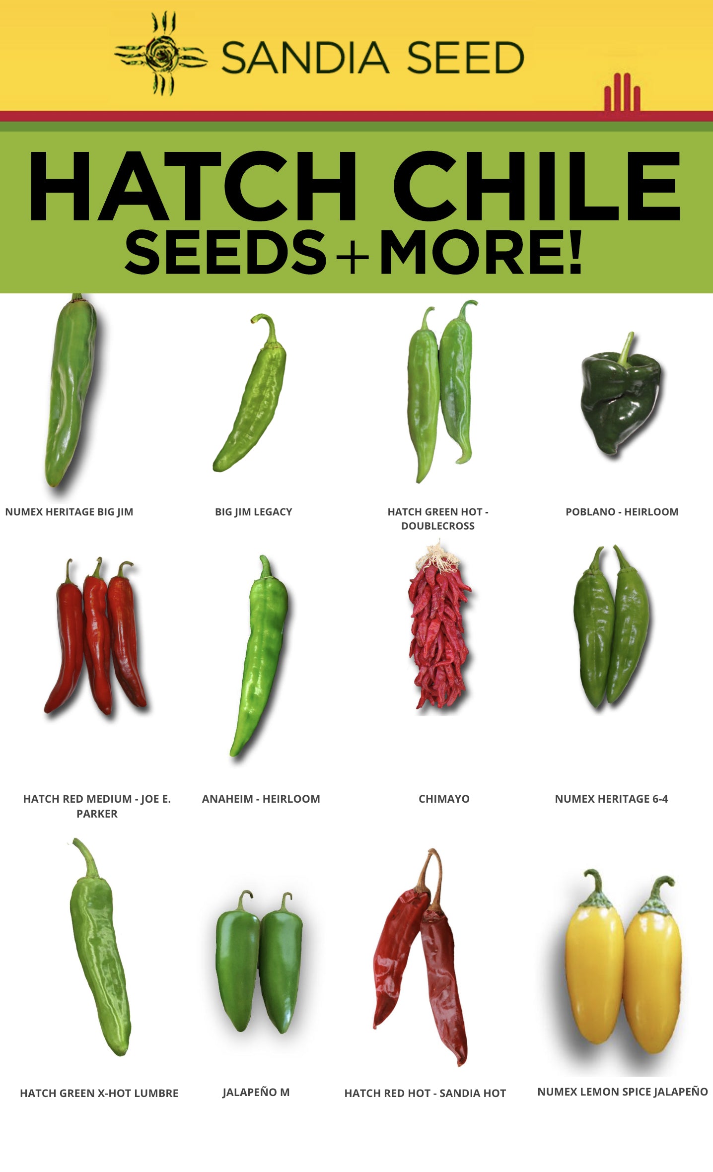 How to Grow Hatch Chile Seeds