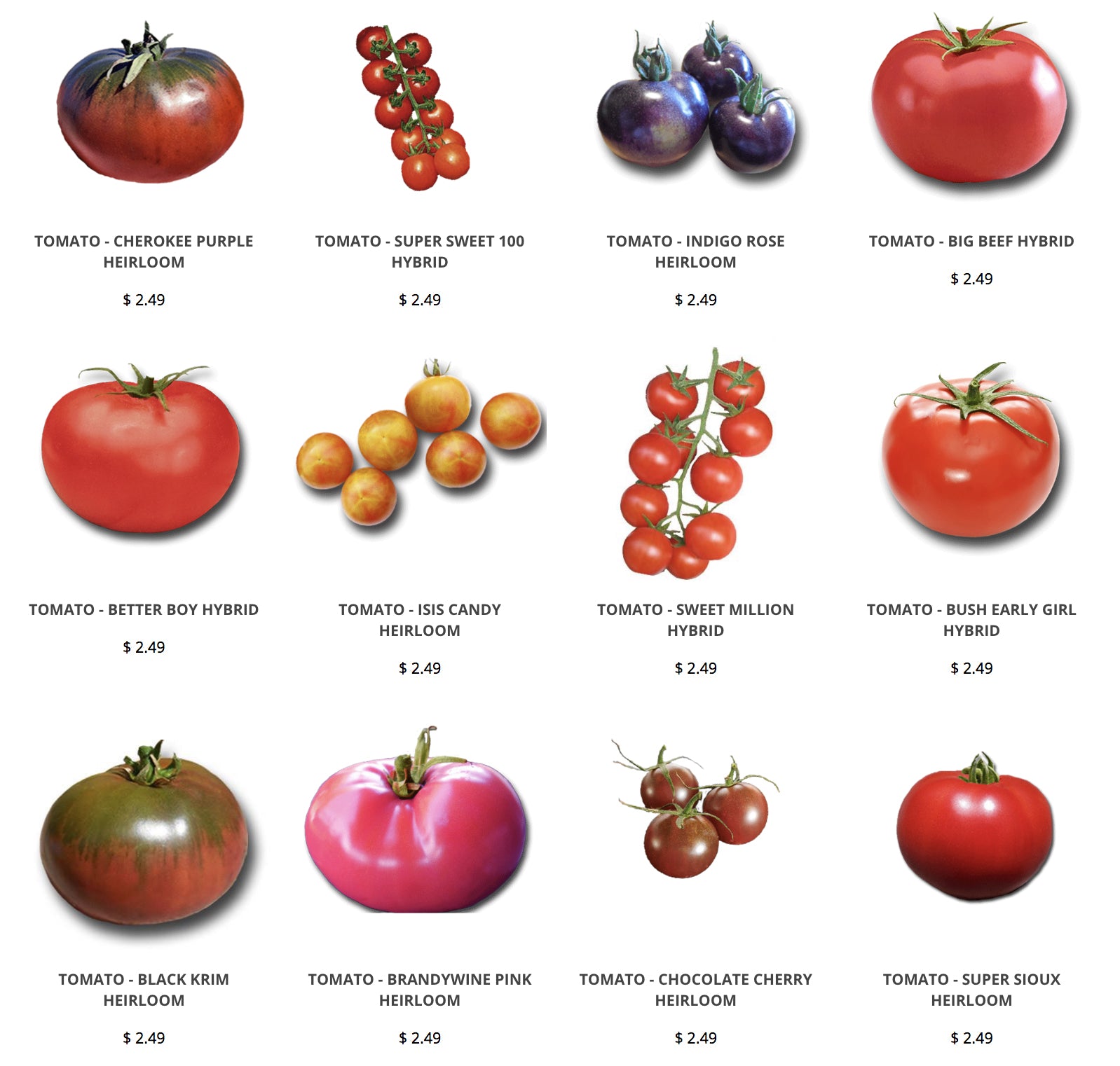 How to Grow Heirloom Tomato Seeds