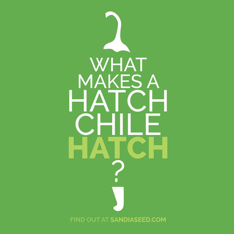 Hatch Chile Seeds