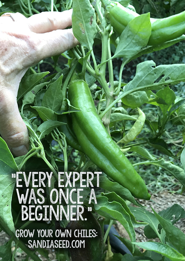 Every Expert Gardener was once a Beginner! - Growing Peppers