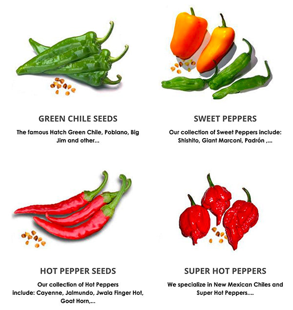 Pepper Seeds for Sale