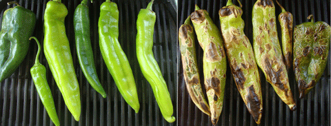 Roasting your own Hatch Chiles