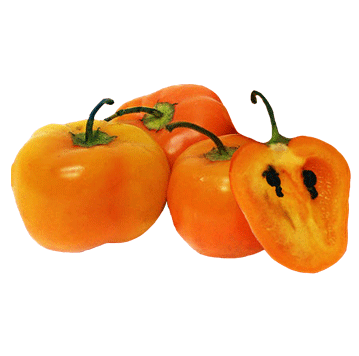 28 seeds per packet Orange Manzano Pepper Seeds FREE SHIPPING 