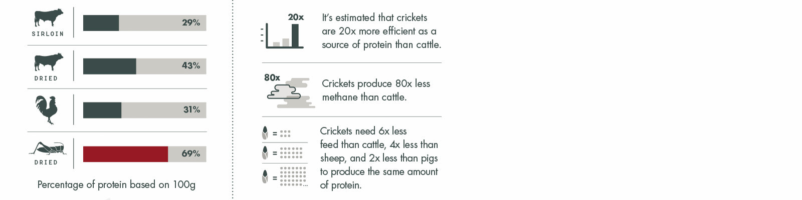 Exotic Proteins Insect Protein vs Beef Protein