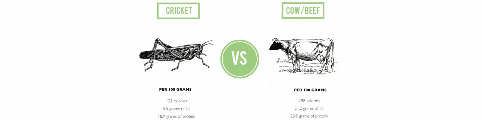 Exotic Proteins Beef vs Insect Nutrients 