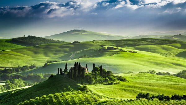 Tuscany Vegetable Tanned Leather