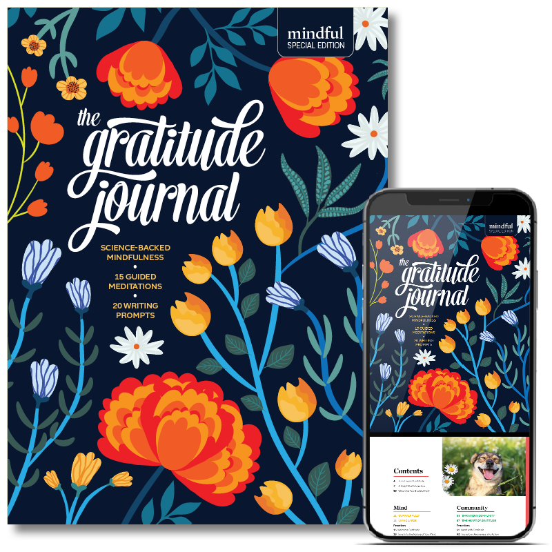 The Gratitude Journal (special edition, print digital) – Store
