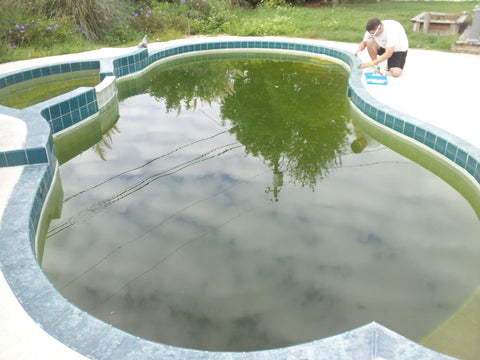 Green Pool CLeaning