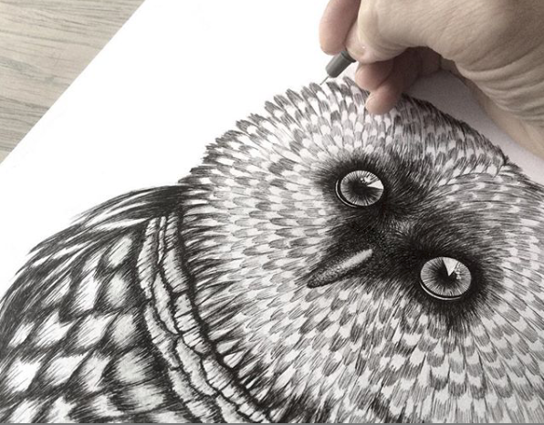 Boas Grafik The Owl