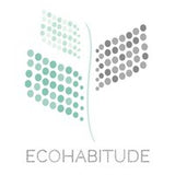 Aesthetic Content on EcoHabitude