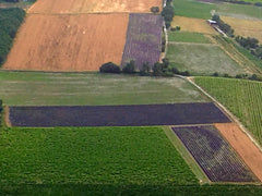 Patchwork of Lavender Fields over Roussillon Provence France