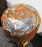 Now that's a fossilized wood stool! Great color!