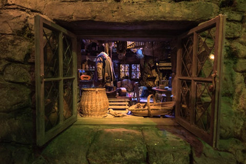 Hagrid's Hut Through A Window